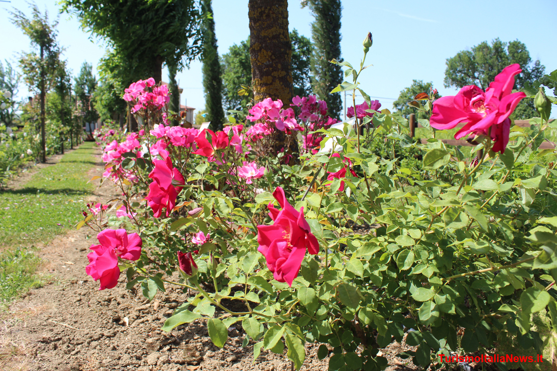Avviso pubblico del Mic per proporre interventi per il restauro e la valorizzazione di parchi e giardini storici