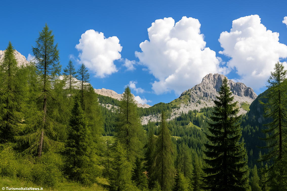 Ripartiamo dai boschi: itinerari per apprezzare e celebrare il grande patrimonio naturale del Friuli - Venezia Giulia