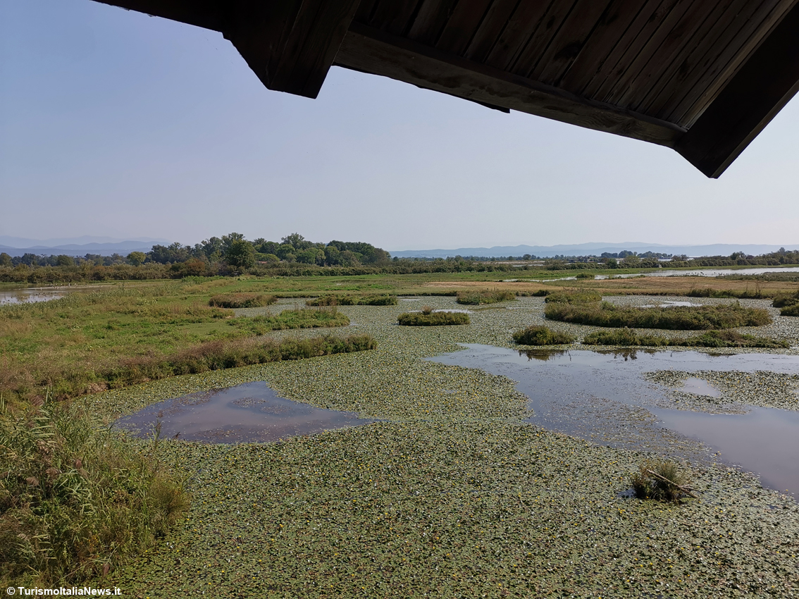 Fra terra, mare e cielo: l'Isola della Cona avamposto della biodiversità nella Riserva della Foce dell'Isonzo