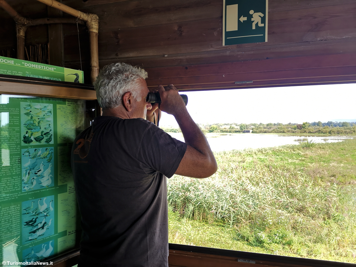Fra terra, mare e cielo: l'Isola della Cona avamposto della biodiversità nella Riserva della Foce dell'Isonzo
