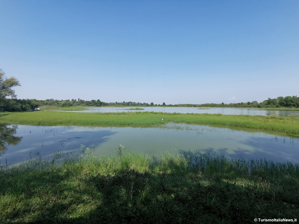 Fra terra, mare e cielo: l'Isola della Cona avamposto della biodiversità nella Riserva della Foce dell'Isonzo