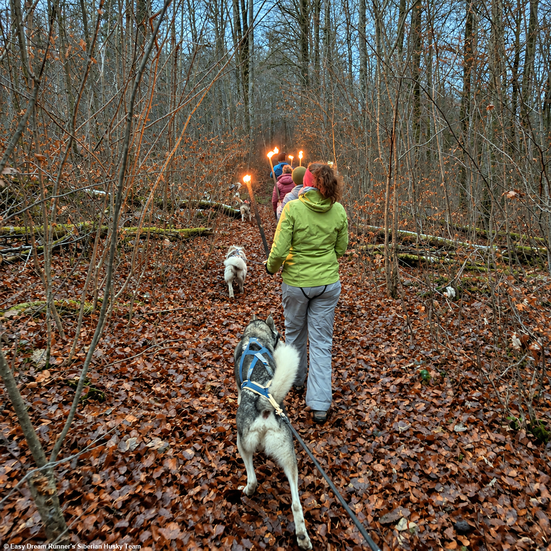 images/stories/germania/ForestaNera_Stuhlingen_HuskyWanderung_01.jpg