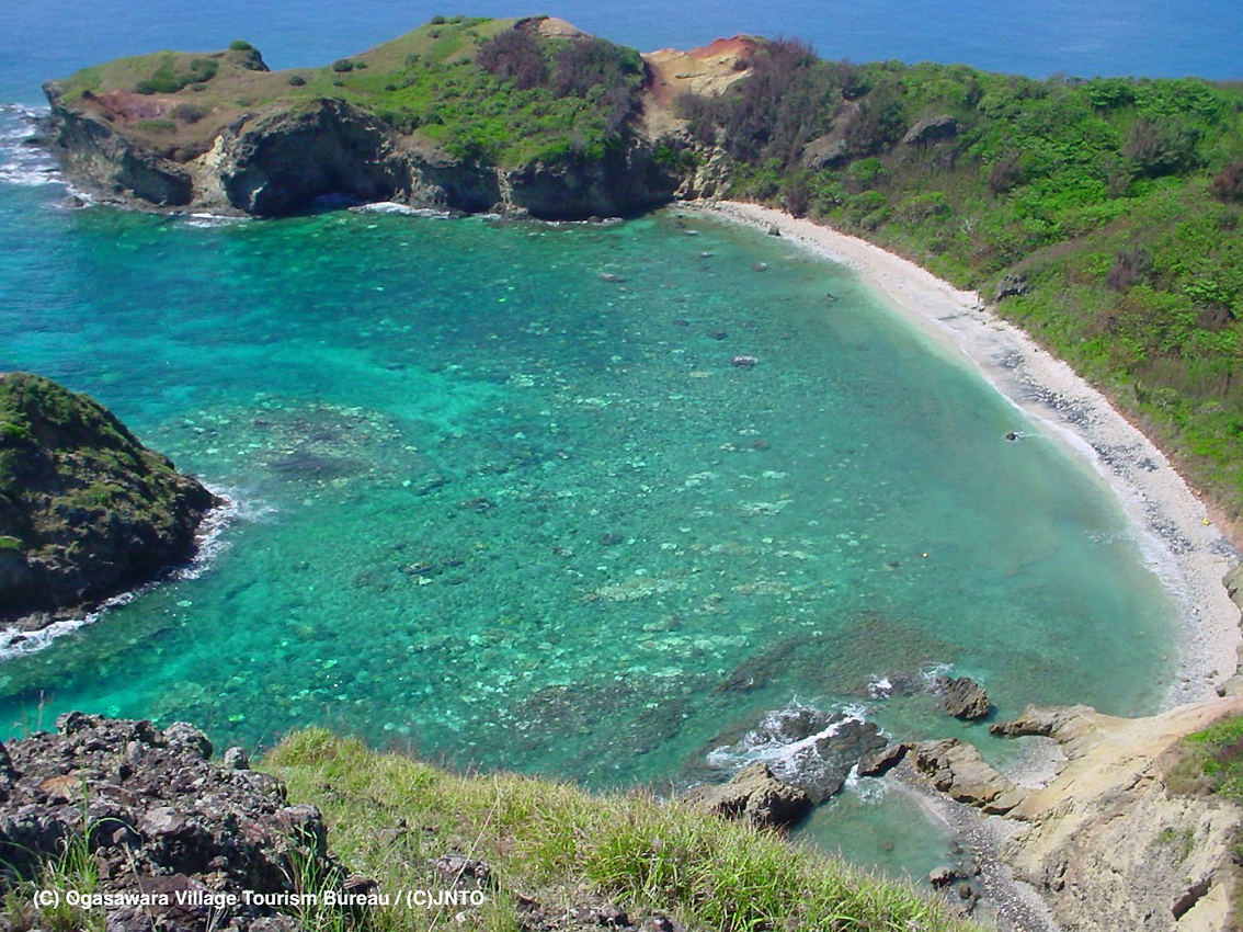 Un tuffo nel blu delle isole Ogasawara: l’arcipelago a 1.000 km da Tokyo inserito nel World Natural Heritage Unesco