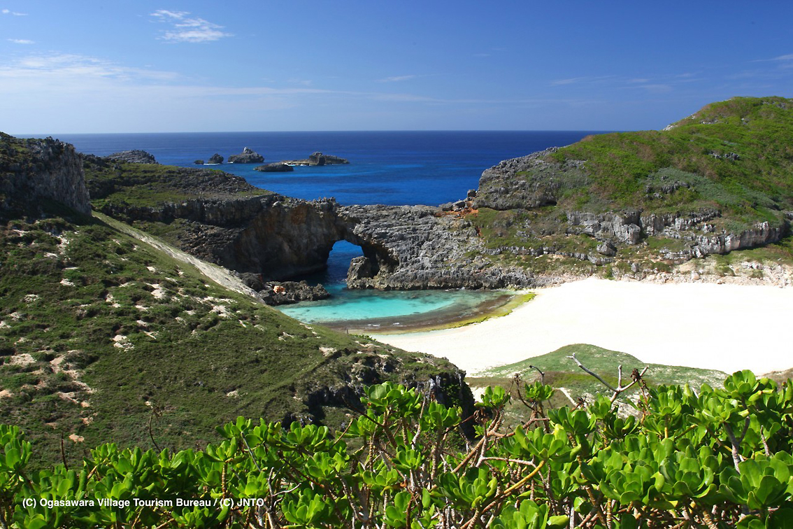 Un tuffo nel blu delle isole Ogasawara: l’arcipelago a 1.000 km da Tokyo inserito nel World Natural Heritage Unesco