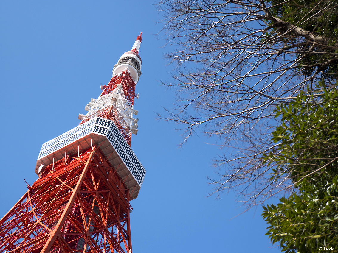 Virtual Tokyo Tower, un'esperienza digitale per vivere il meglio dell'edifico più famoso della capitale del Sol Levante