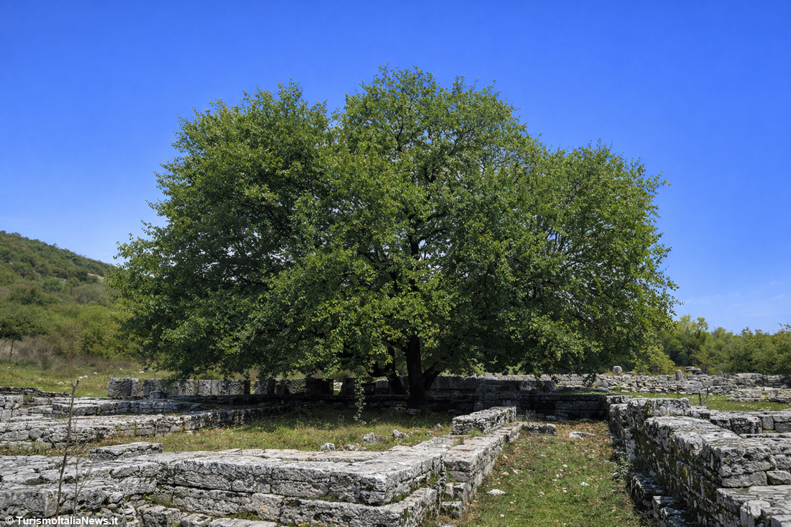 Grecia, l’Oracolo di Dodona parla ancora una volta: il fruscío della quercia sacra conquista i viaggiatori di oggi nell’Epiro di ieri