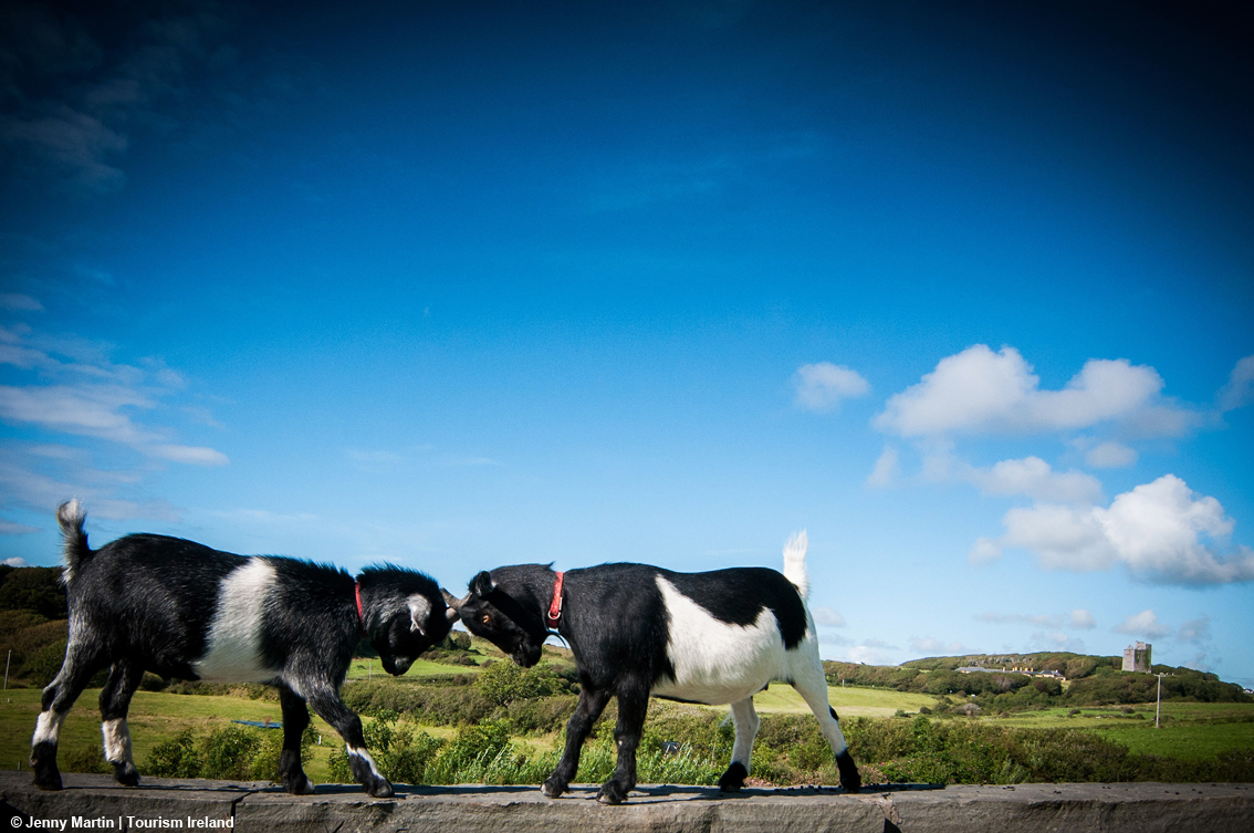 10 meraviglie per 10 anni di Wild Atlantic Way: tesori tra mare, terra e cieli d’Irlanda da mettere in agenda