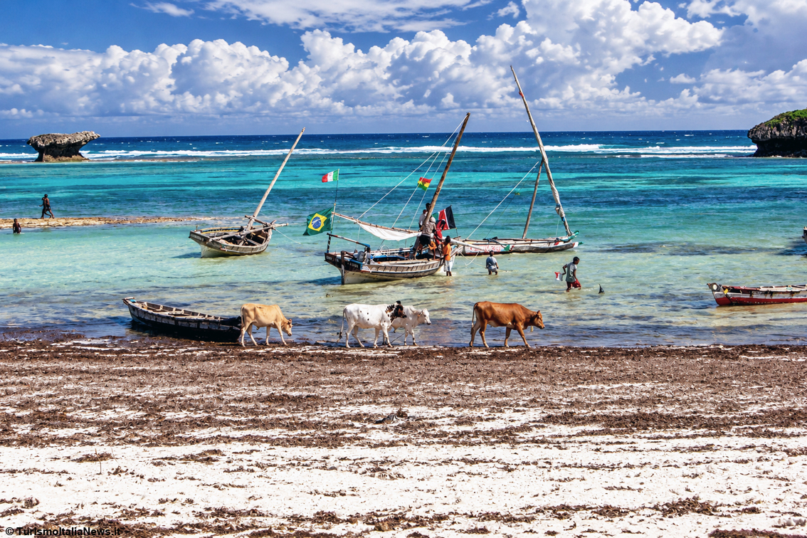 Africa tra mare e natura: come scegliere il soggiorno senza rinunciare alla scoperta