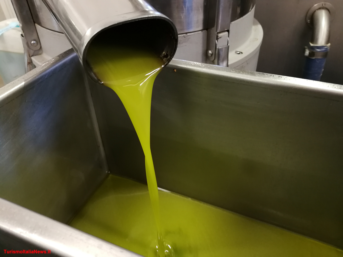 Производство оливкового масла. Оливковое масло в центрифуге. Насадка для оливкового масла. Olive Oil Production. Оливковое масло жидкость.