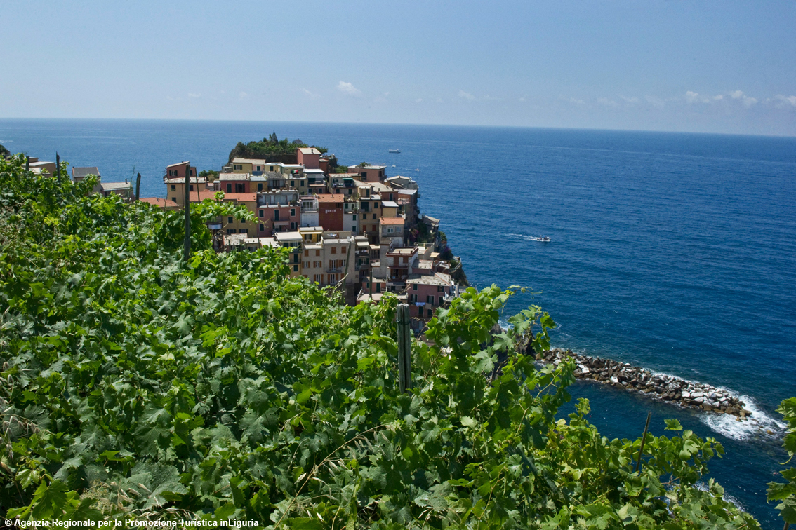 Turismo esperienziale: in Liguria al via il progetto “Adotta una Cantina”, sinergia tra hotel e aziende vitivinicole