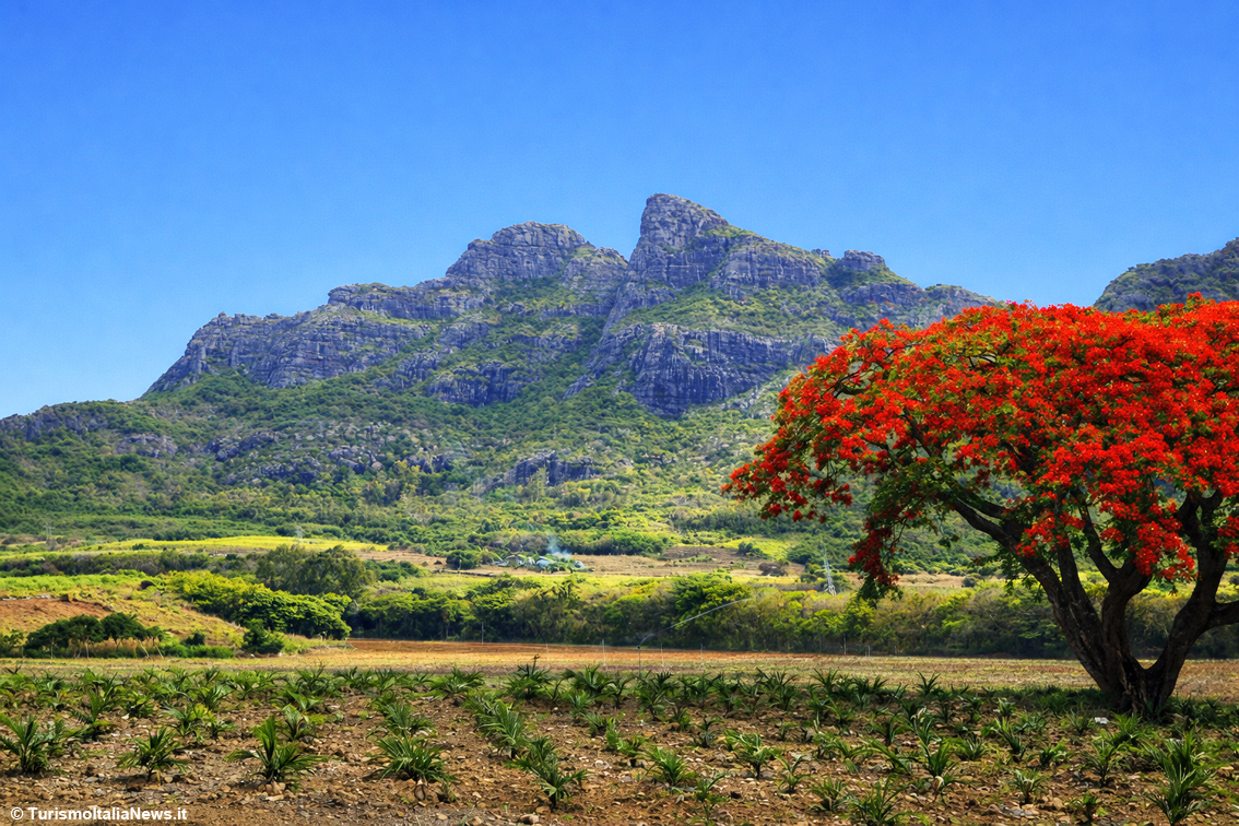 Mauritius, perla dell'Oceano Indiano
