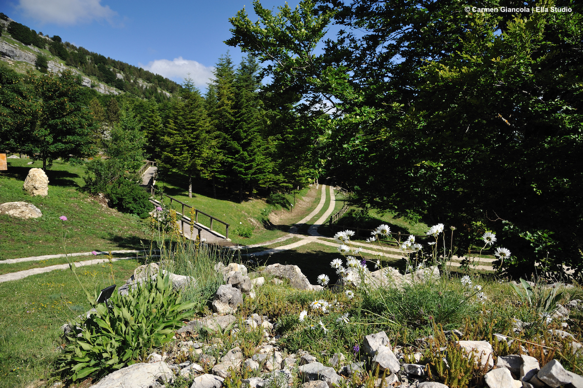 Capracotta, il Giardino della Flora Appenninica