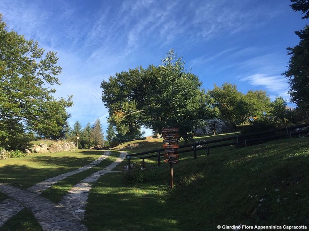 Il Giardino della Flora Appenninica di Capracotta