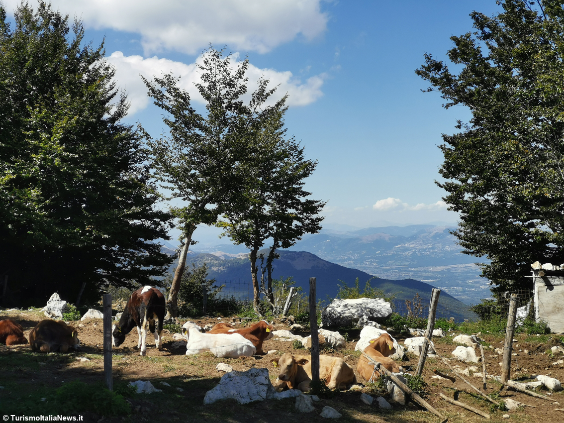 Adrenalina o relax? Nel Parco del Matese il senso di libertà si respira a pieni polmoni: è il Molise che ti aspetti