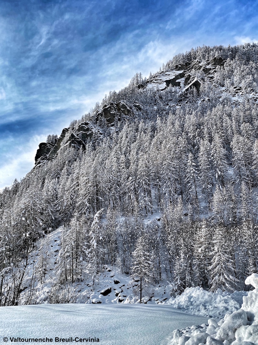 Tre nuove piste per ciaspole battute e segnalate a Valtournenche e Breuil-Cervinia