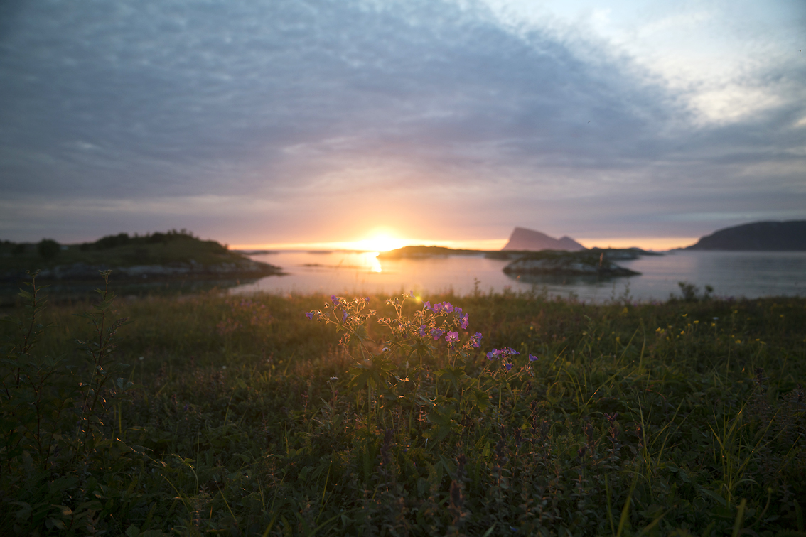 Sommaroy, nella regione di Troms (foto Alexander Benjaminsen - VisitNorway.com)
