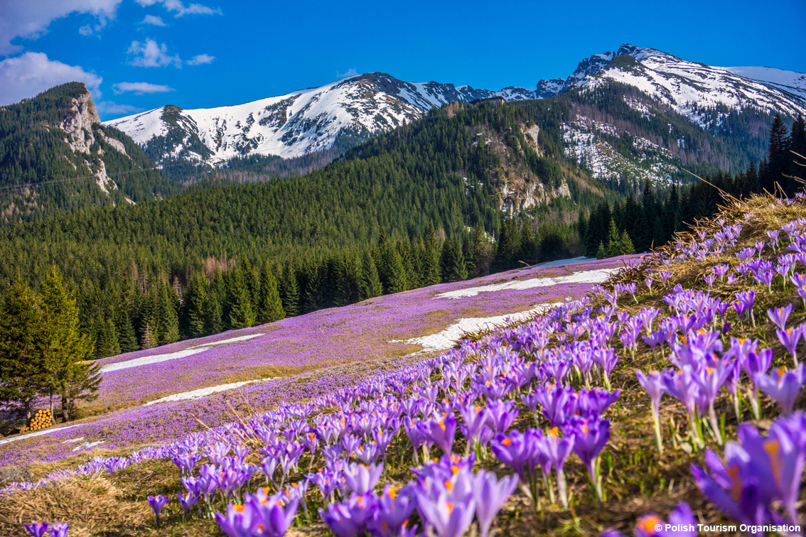 Camminare tra le nuvole: a oltre 2.000 metri di altezza fino a toccare il cielo, laghi cristallini, animali rari e selvaggi ecco i Monti Tatra