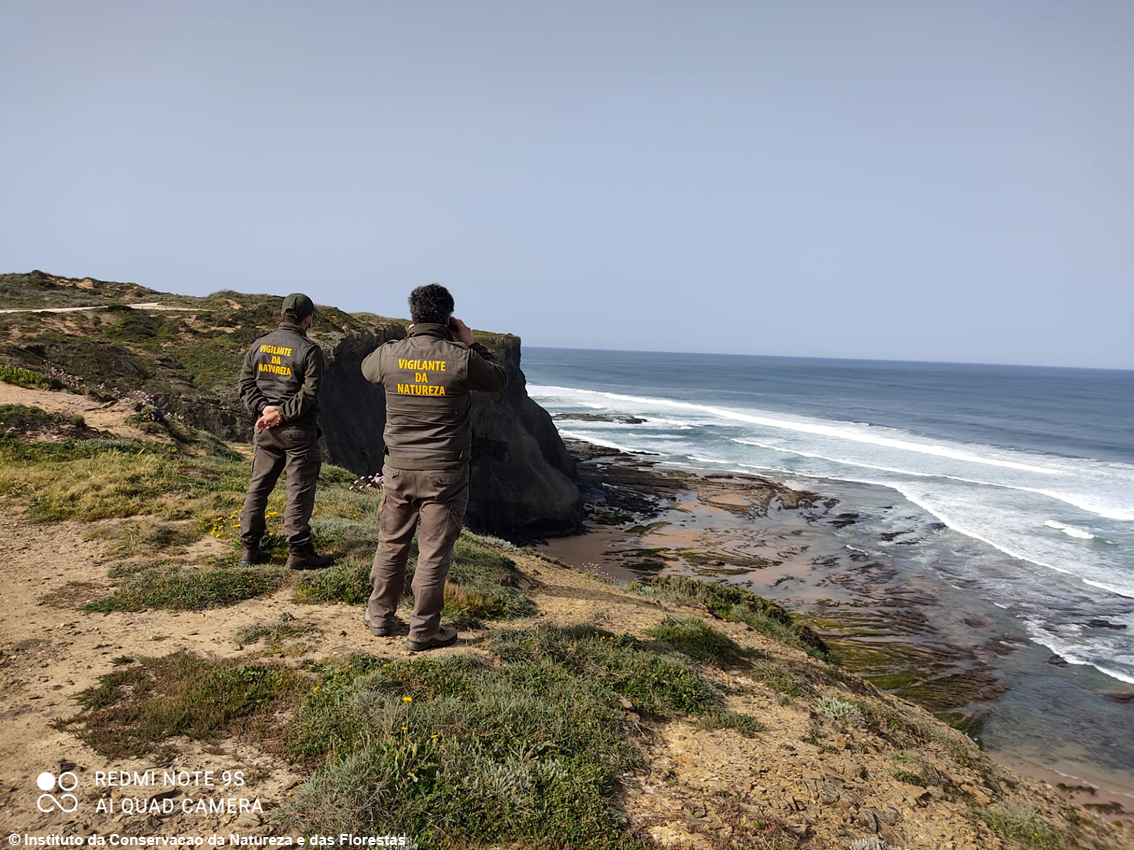 Cinque paradisi terrestri in Portogallo: ecco i parchi naturali da non perdere, scrigno prezioso della biodiversità del Paese