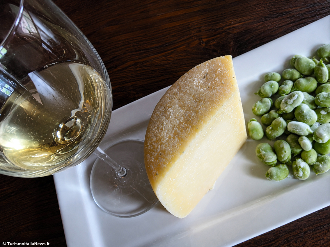Le ricette di Casa Spineto: Crema di fave al Pecorino e mentuccia profumata, un primo piatto ammaliante