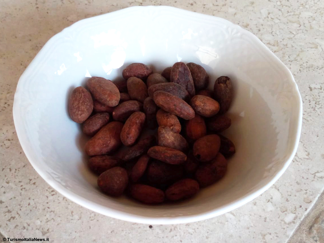 Le ricette di Casa Spineto: Mezzelune alle fave di cacao del Nicaragua Cocambo con farcitura di yogurt colato greco 