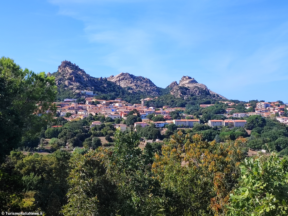 Aggius, in Gallura. Mirto di Sardegna: profumo, sapore e tradizione dell’Isola più bella