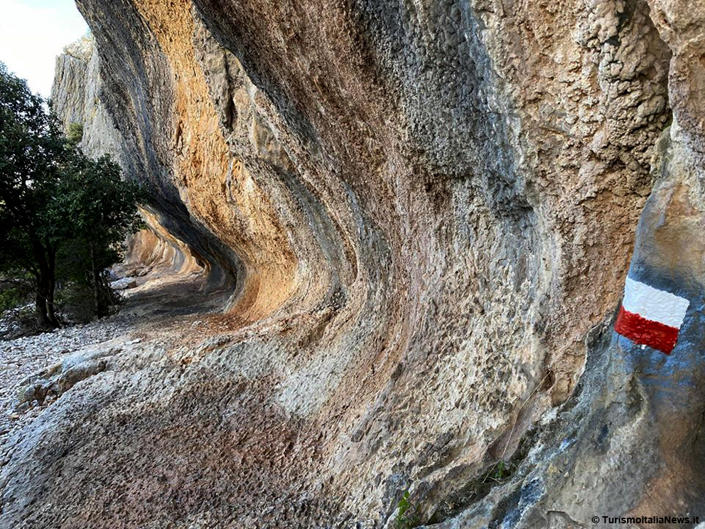 Dorgali