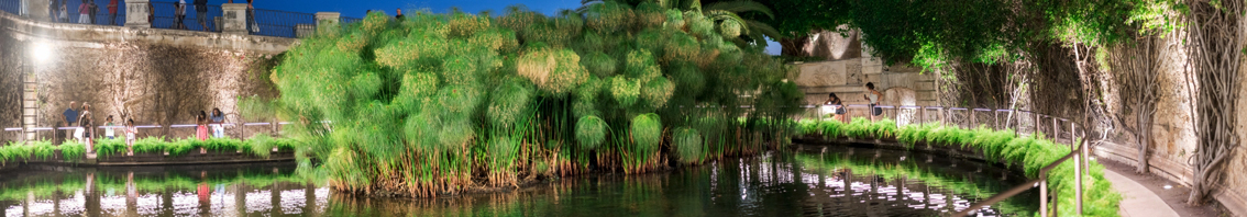 Siracusa, la Fonte Aretusa torna a farsi scoprire: lo specchio di acqua dolce popolato da papiri nilotici e animali acquatici