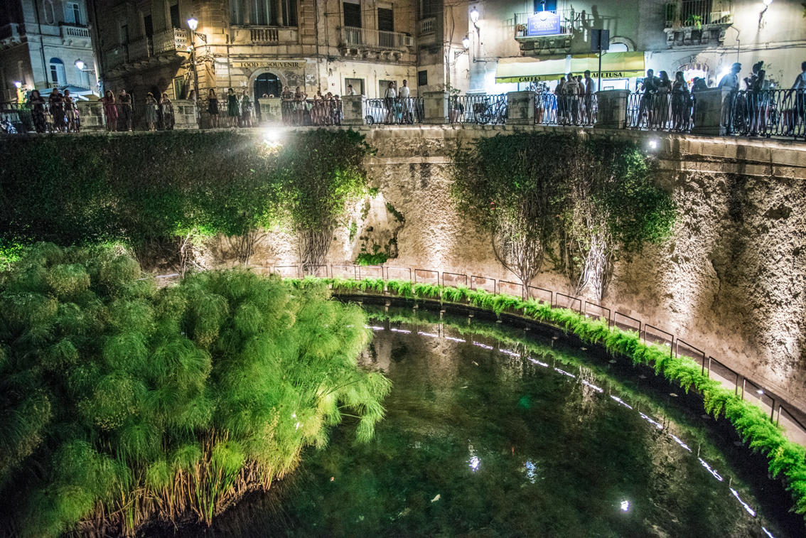 Siracusa, la Fonte Aretusa torna a farsi scoprire: lo specchio di acqua dolce popolato da papiri nilotici e animali acquatici