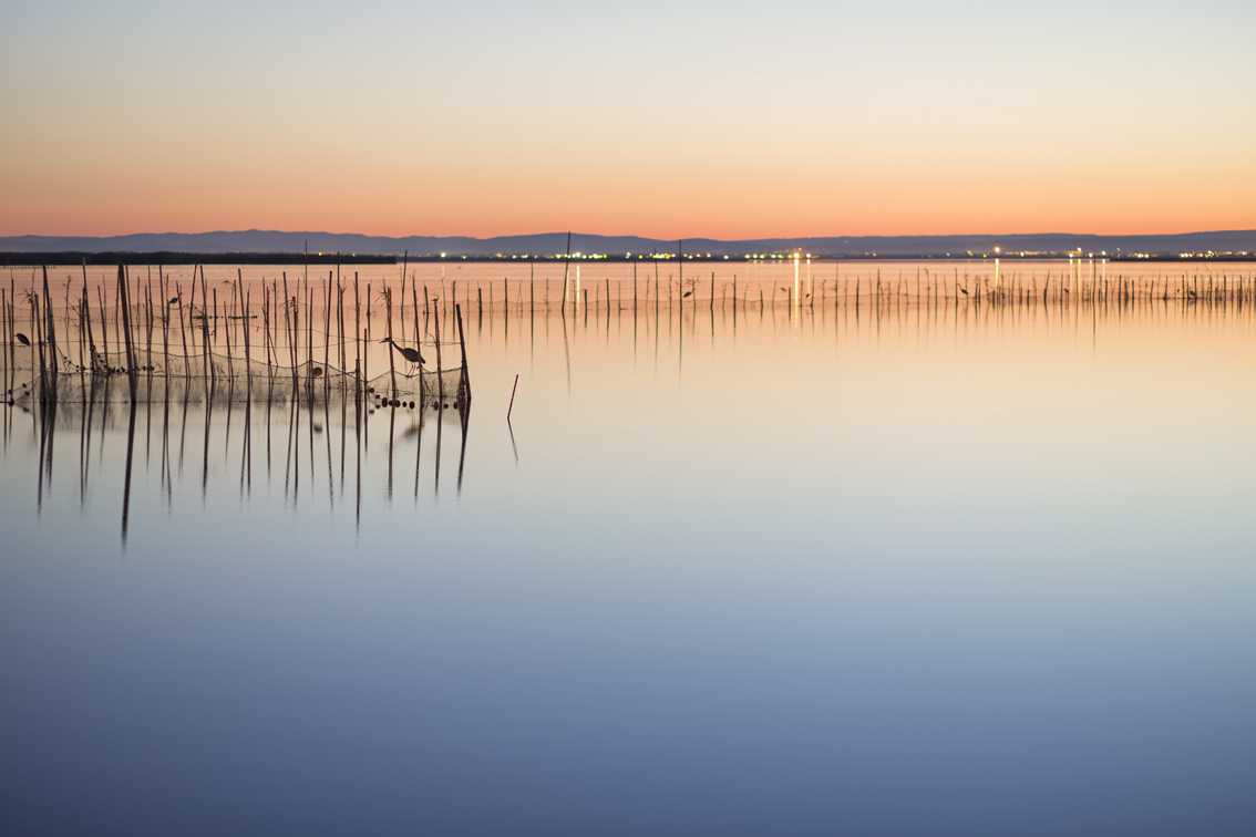images/stories/spagna_Valencia/Valencia_ParcoDellAlbufera01_PhVlc.jpg