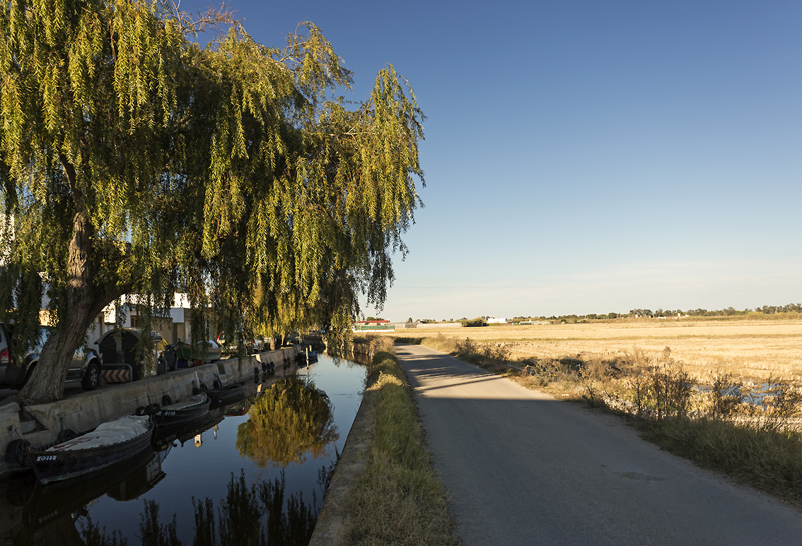 Valencia, il Parco dell'Albufera (foto Vlc)