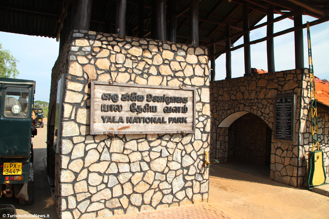Sri Lanka, la vita selvaggia dello Yala National Park racconta storie che si perdono nella notte dei tempi