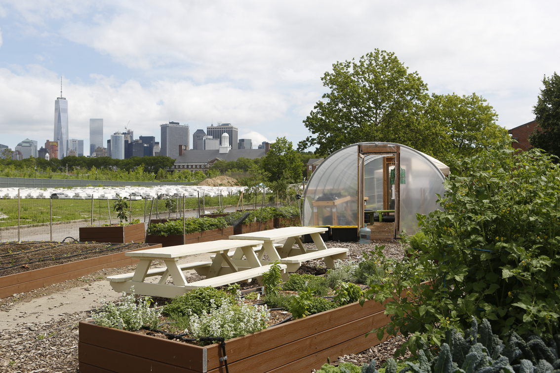 images/stories/stati_uniti/NewYork_GovernorsIsland06_KateGlicksberg.JPG
