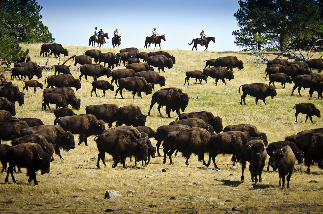 South Dakota