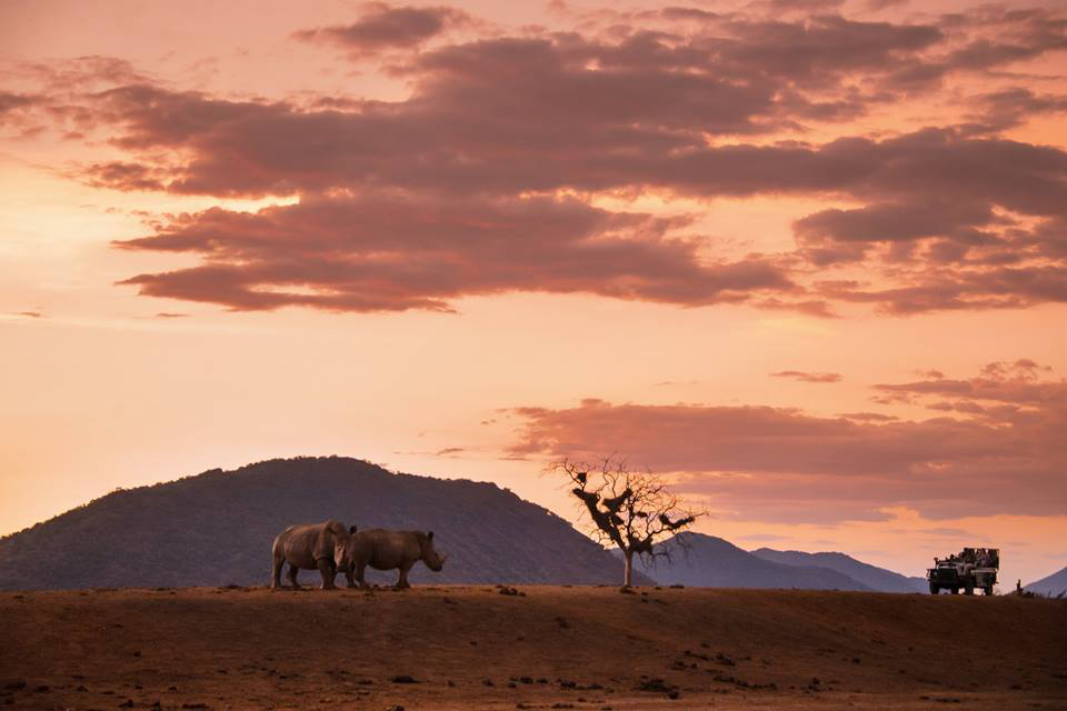 Il Kruger National Park (foto South African Tourism)