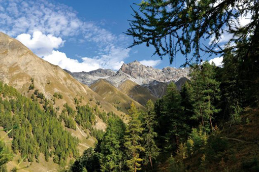Compie cento anni il Parco Nazionale Svizzero, il più antico delle Alpi e dell’Europa centrale