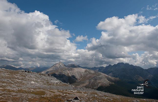 Compie cento anni il Parco Nazionale Svizzero, il più antico delle Alpi e dell’Europa centrale