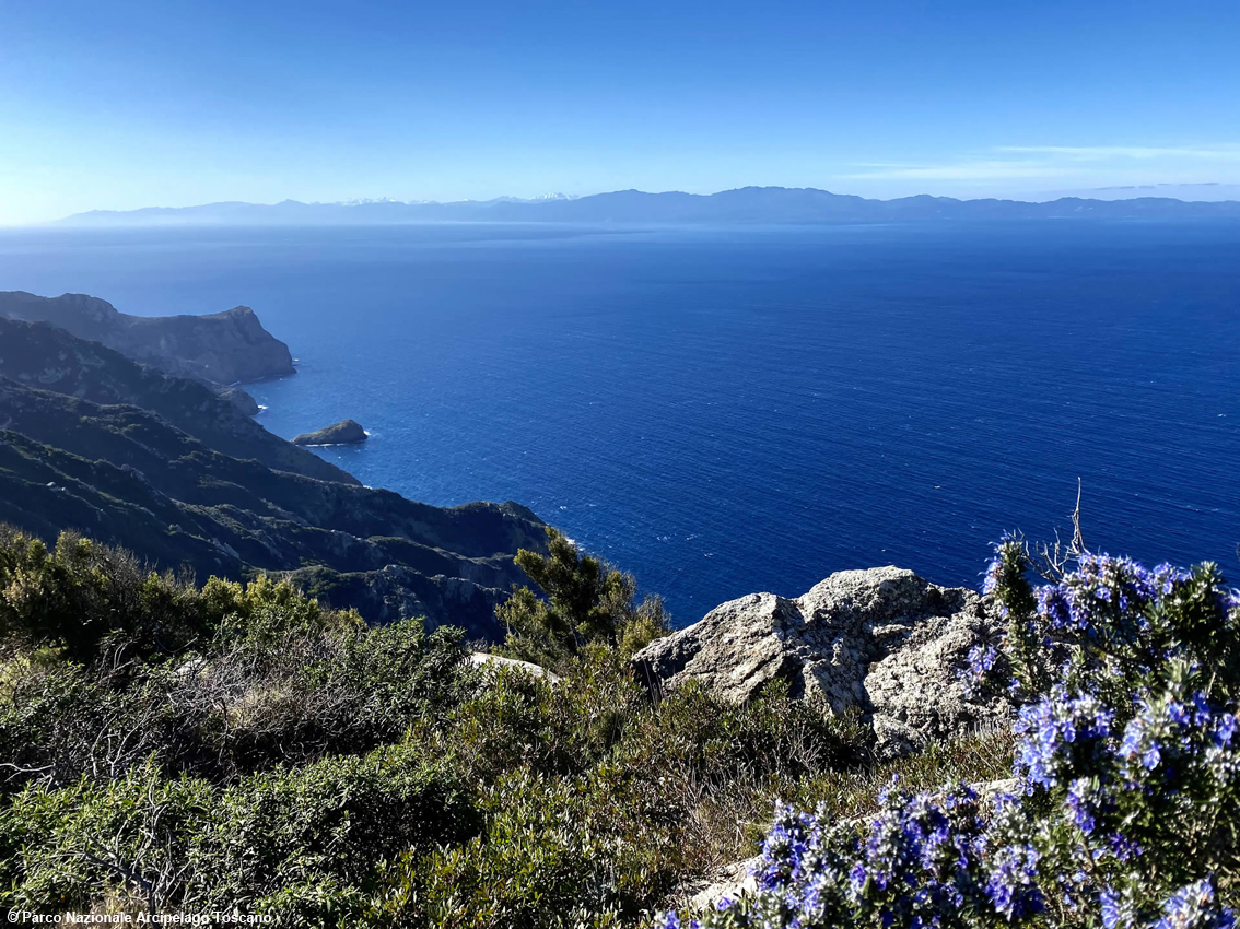 Capraia
