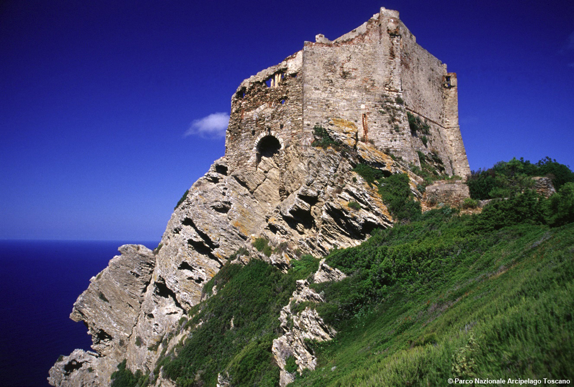Gorgona: le visite con il Parco Nazione di nuovo attive: nell’Arcipelago Toscano grande interesse per questa isola-carcere