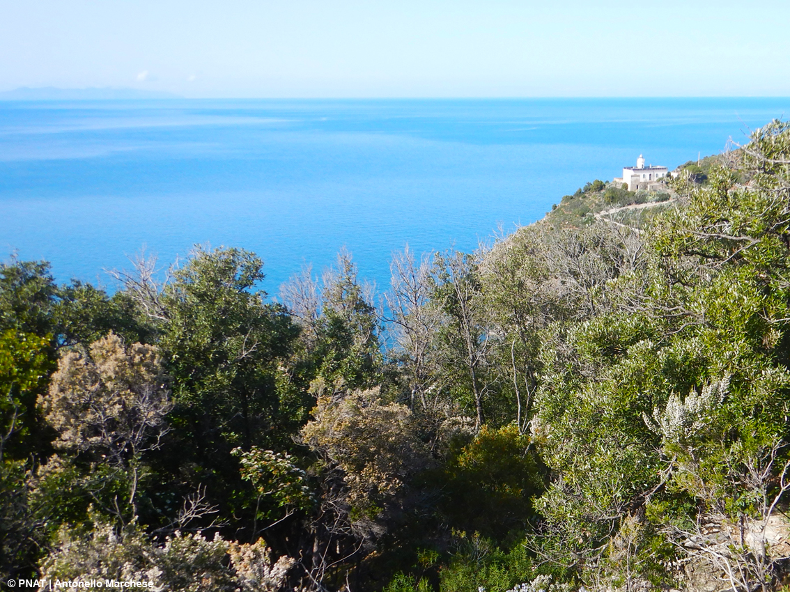 images/stories/toscana/IsolaDElba_ViaDellErica.jpg