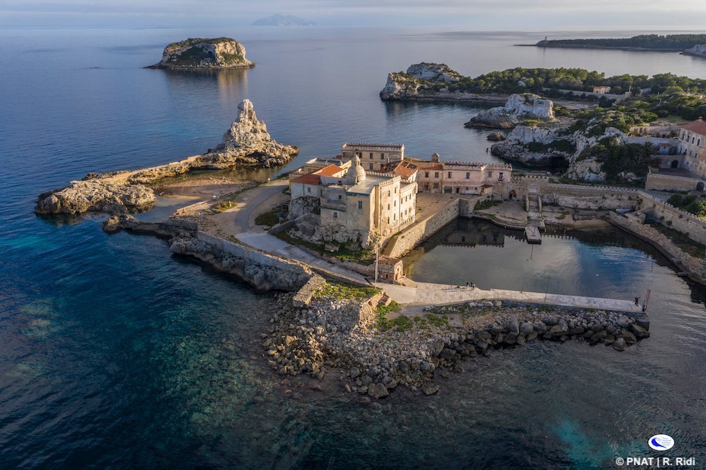 Isola di Pianosa, riapre il campo boe per organizzare immersioni nelle acque cristalline e ricche di biodiversità