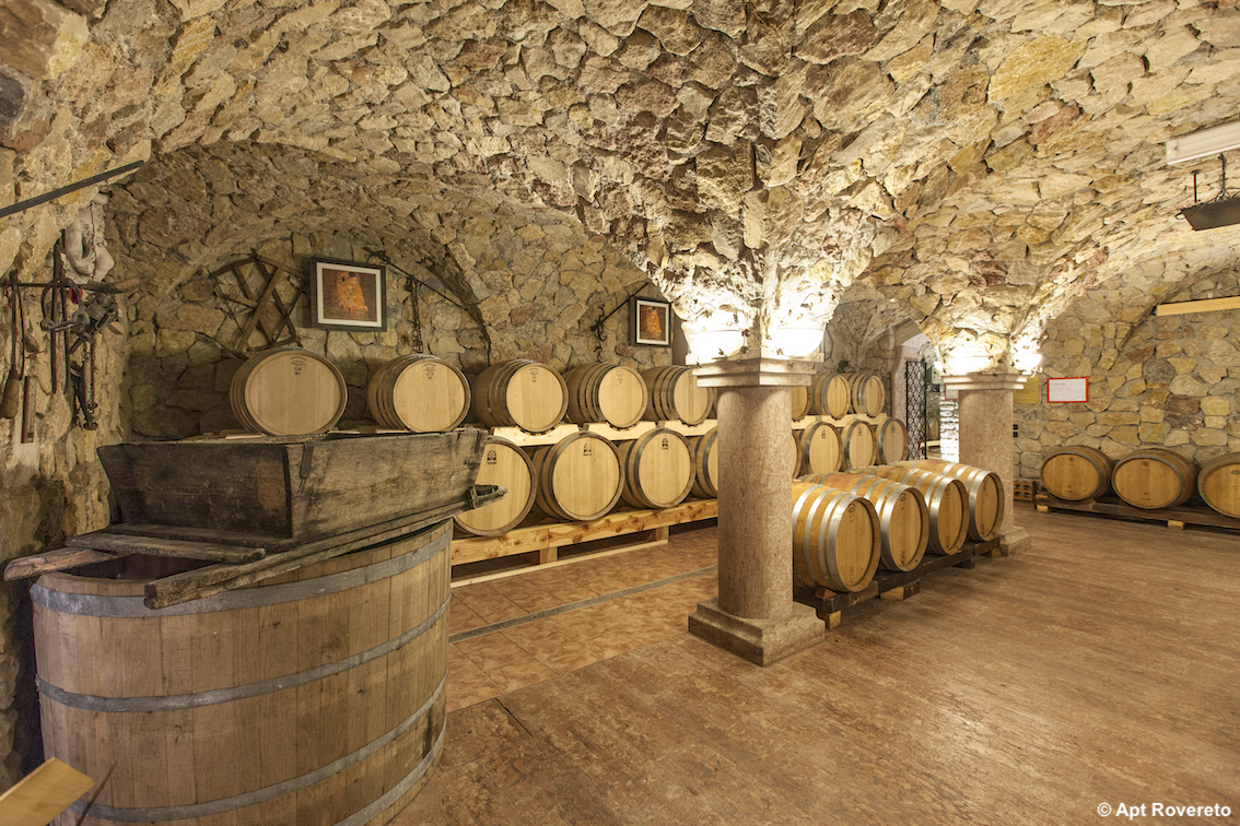 La bottaia dell'Azienda Agricola Grigoletti