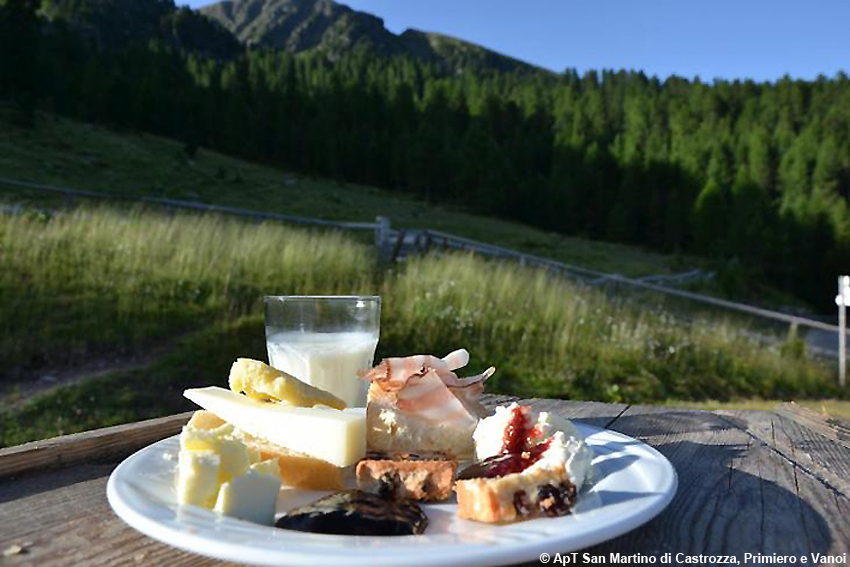 Benessere e rinascita tra le Dolomiti: in quota e tra i deliziosi borghi del Primiero, tanti spunti per un inizio d’estate in armonia con Madre Terra