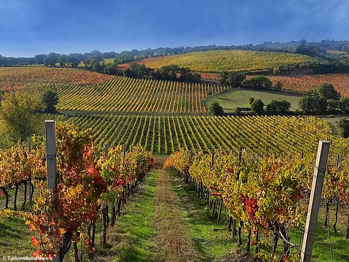 Umbria, i bellissimi colori autunnali della Strada del Sagrantino