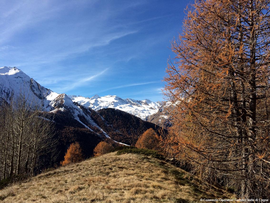 Valle d’Aosta, autunno di grandi tradizioni nella valle di Cogne con i colori di stagione e i buoni prodotti della terra