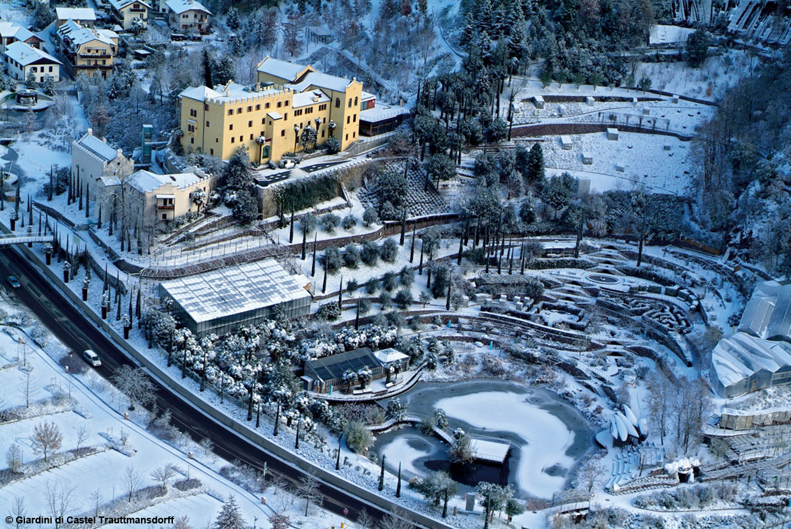I fossili viventi nella Valle delle Felci: piante undying ai Giardini di Castel Trauttmansdorff a Merano