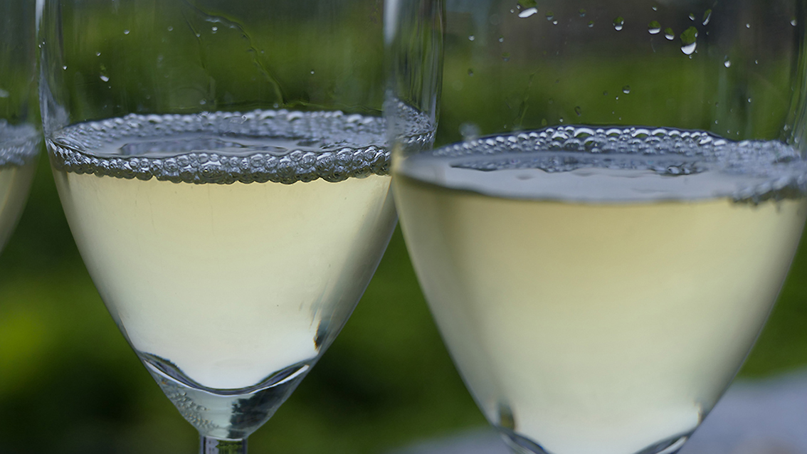 Vini dell’Etna, sorsi di “Lava”: il gusto di un’isola straordinaria (foto Salce)