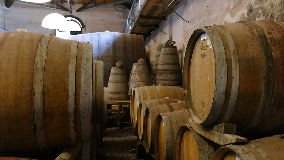 La bottaia di una cantina siciliana (foto Salce)