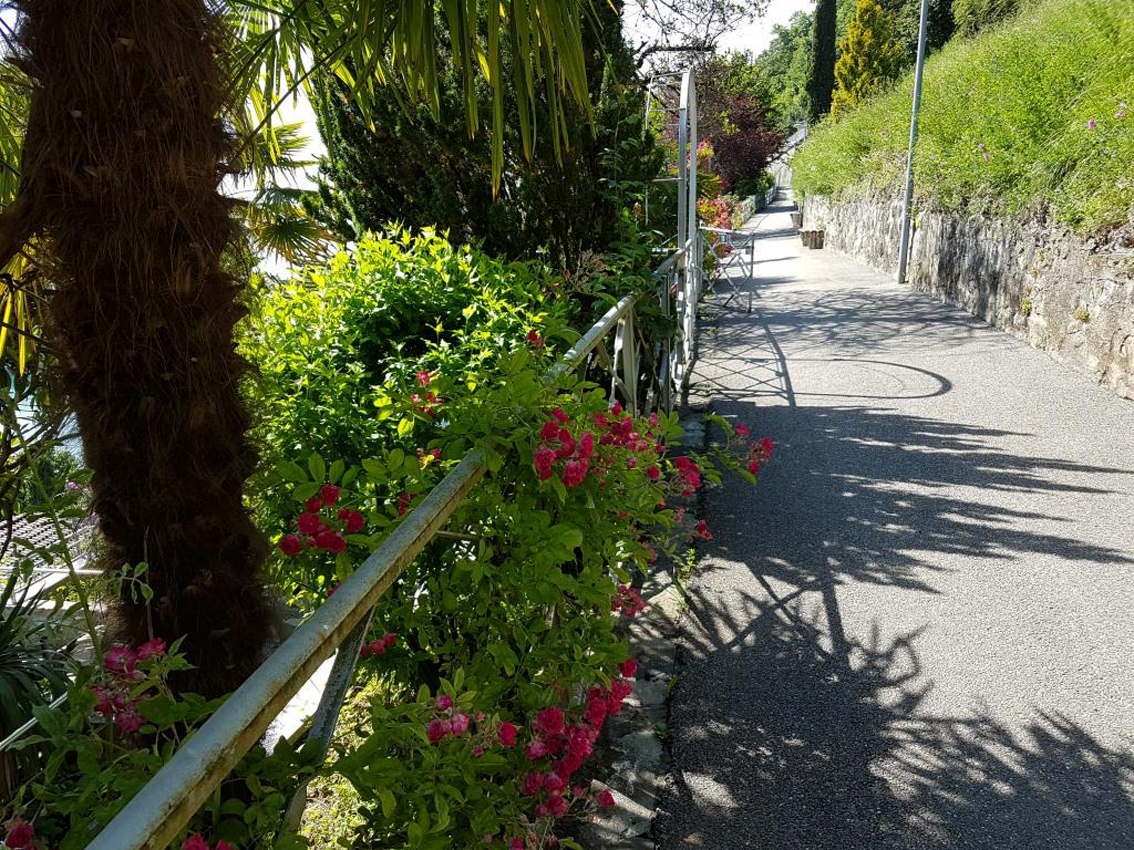 Glion, il Sentiero delle Rose (foto Riccardo Celani)