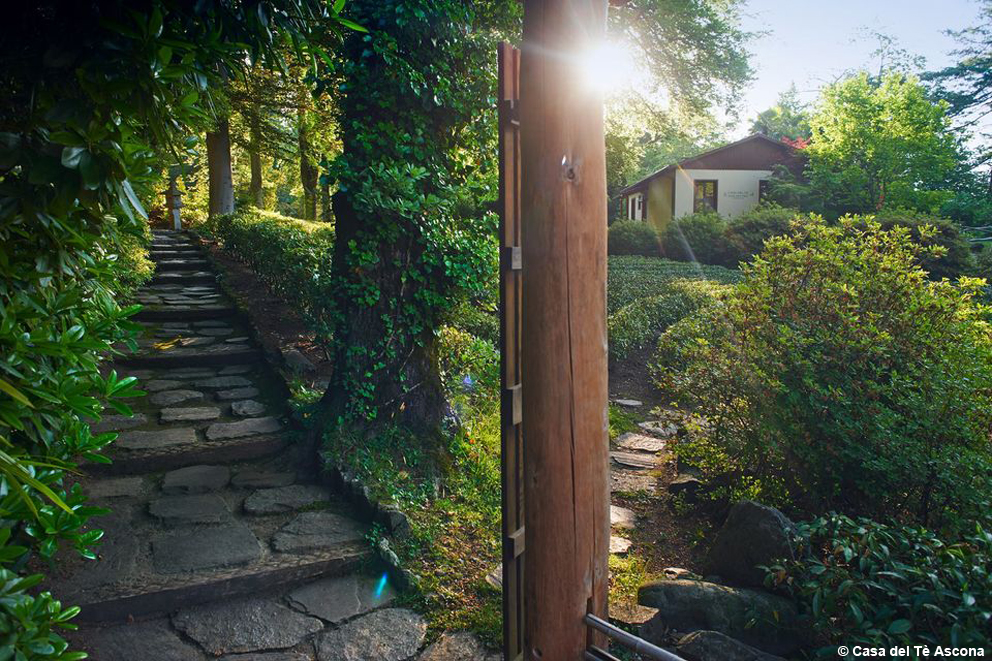 Cerimoniale orientale sul sul Monte Verità di Ascona: ecco la Casa del tè che racconta un rituale che appaga il gusto e l’animo