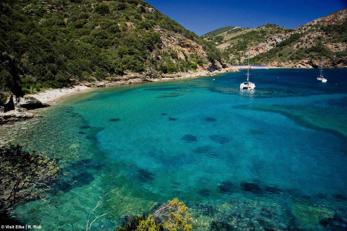 Viaggio nel blu dell'Isola d'Elba: escursioni dedicate al ritorno della foca monaca e agli avvistamenti di delfini e balenottere